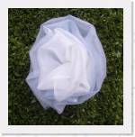 zilver  5,-euro * 395 x 399 * (44KB)